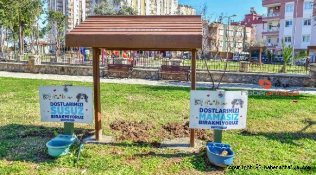 Kepez'den hayvanlara bir iyilik yatırımı daha