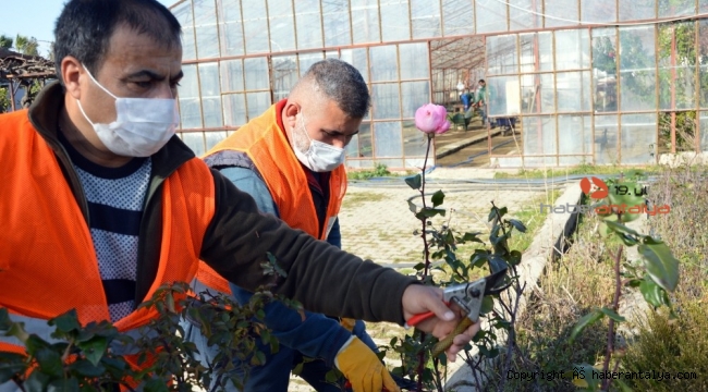 Manavgat üreterek tasarruf ediyor