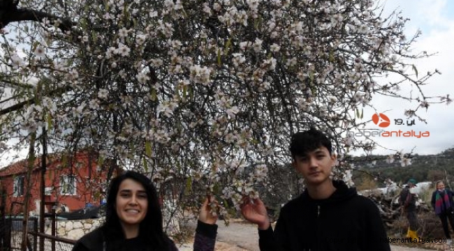 Mevsimi şaşıran ağaçlar