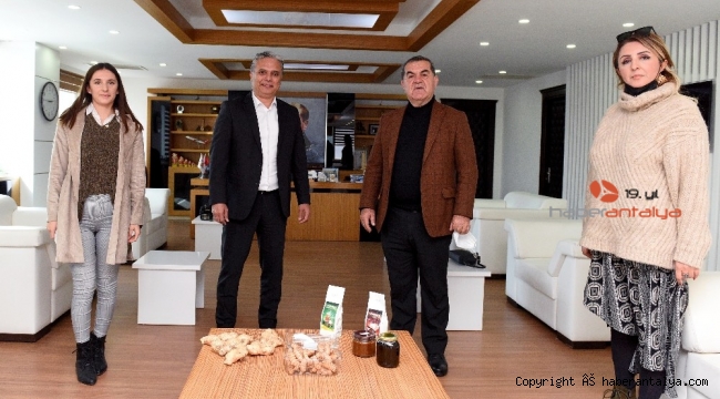 Muratpaşa'da şifa kaynağı zencefil üretimi başlıyor