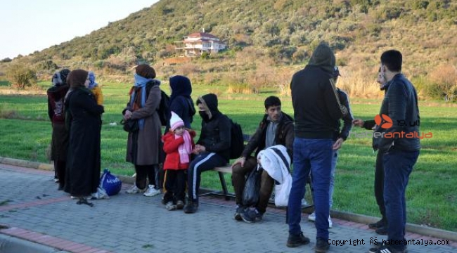 Seralarda saklanan kaçaklar yakalandı