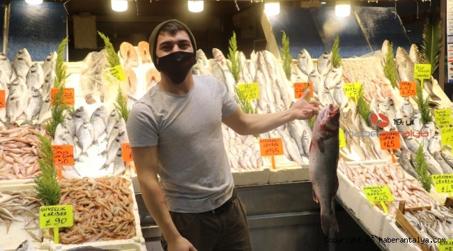 Yasak hamsiye geldi, bütün balıklar etkilendi