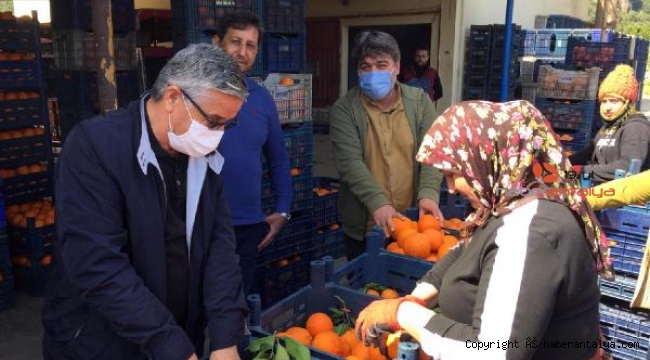 Başkan Topaloğlu, portakal işçileriyle buluştu