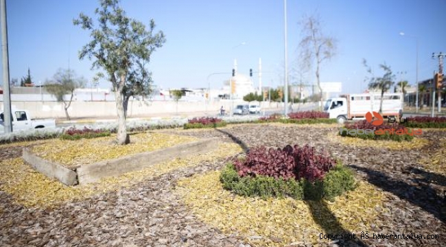Büyükşehir Kurakçıl Peyzaj Projesi'ne başladı