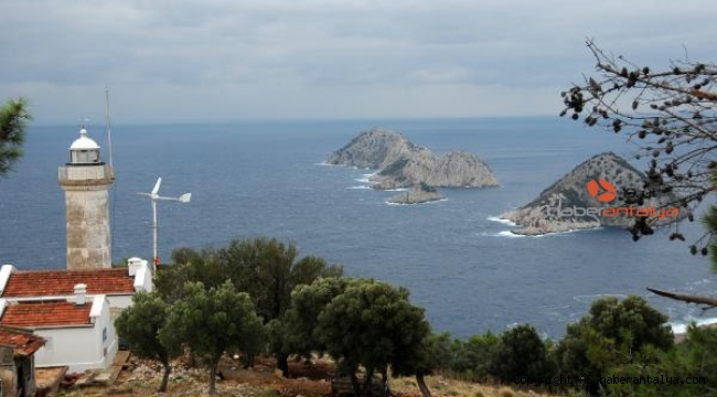 Caretta carettaların üreme alanı 'kesin korunacak hassas alan' ilan edildi