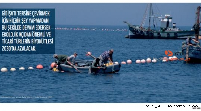 Dünya Doğayı Koruma Vakfı'ndan Akdeniz uyarısı !