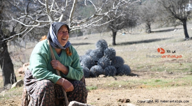Fatma teyzenin 62 yıllık çobanlık hikayesi
