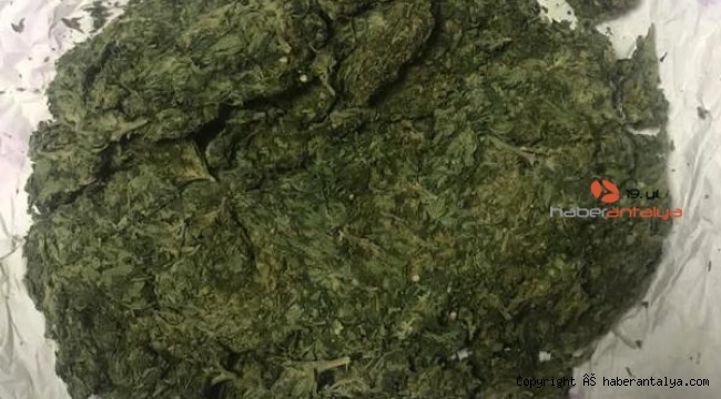Jandarmanın kısıtlamada durdurduğu araçtan bakın ne çıktı