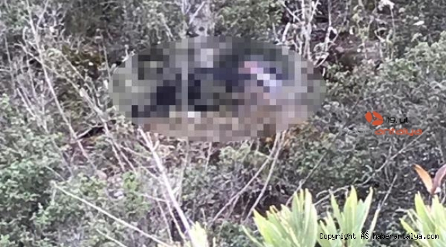 Manavgat'ta ormanda erkek cesedi bulundu