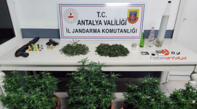 Manavgat'ta uyuşturucu operasyonları son sürat devam ediyor