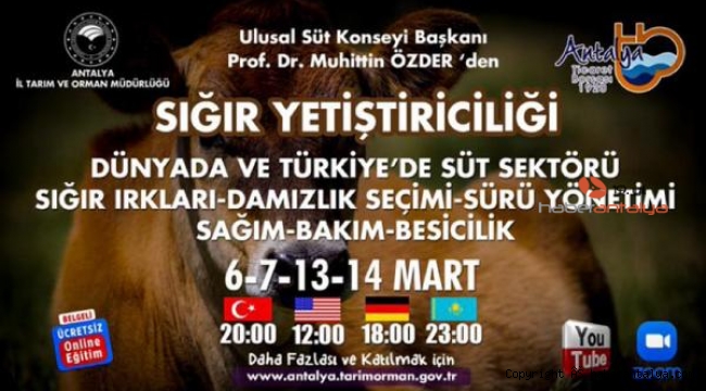 Profesörden çobanlık dersi
