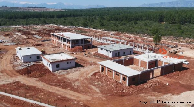 Sokak hayvanları için 21 milyon liralık Bakım Evi Projesi sürüyor