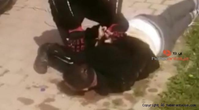 Tacizden gözaltına alındı, 'Aşkım Van Milletvekilini ara' diye seslendi !