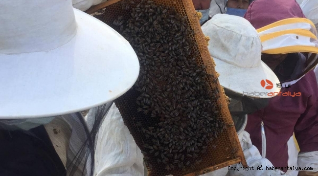 Arıcılık Kursu Tamamlandı