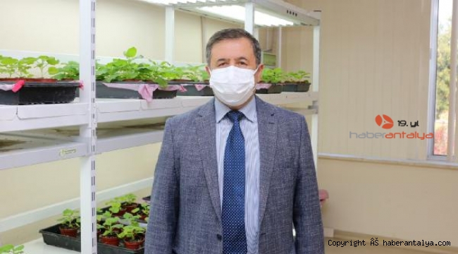 Akdeniz Üniversitesi'nde koronavirüse karşı ilaç ve aşı adayı geliştirildi !