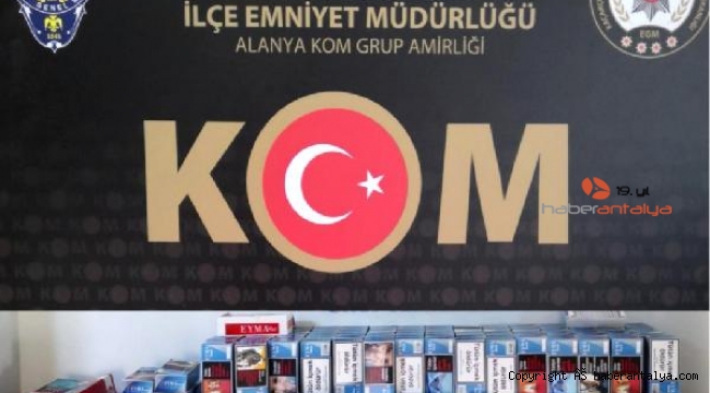 Alanya'da kaçak tütün baskını