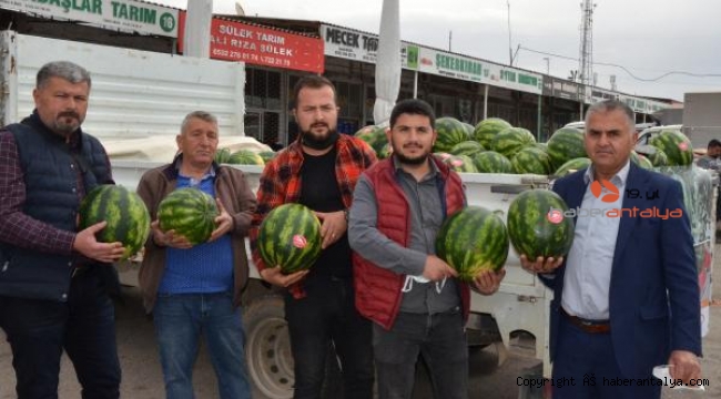 Antalya'da mevsimin ilk karpuzu pahalı oldu 