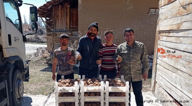 Biyolojik mücadele için Korkuteli'de patates yetiştirilecek