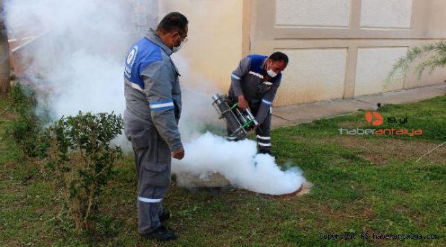 Büyükşehir'in vektörel mücadelesi hız kesmiyor