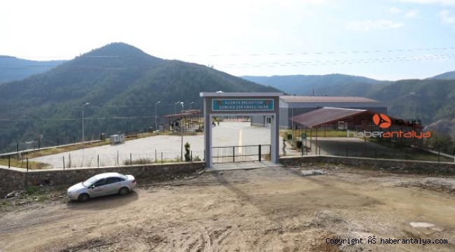 Çamlıca Mahallesi'nde çok amaçlı salon hizmete girdi
