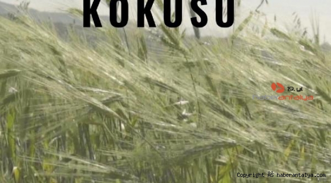 Çevreci filmler uluslararası arenada