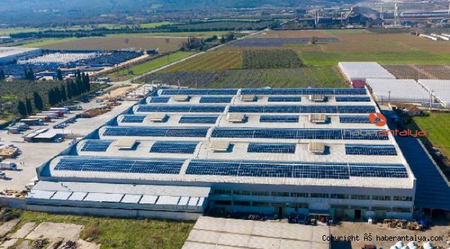 CW Enerji, Güngör Zeytincilik çatısına GES santrali kurdu