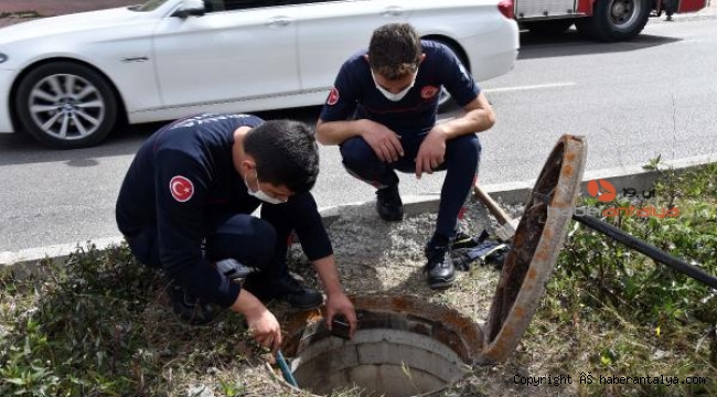 Drenaj kanalına giren kedi bulunamadı