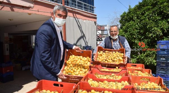 Hasadı süren Malta eriğinin fiyatı ne kadar ?