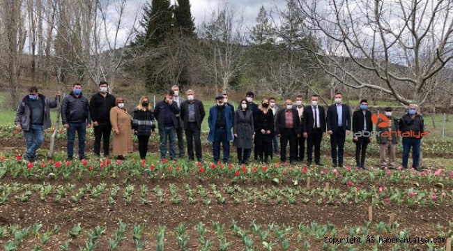 İbradı lale üretim merkezi haline gelecek