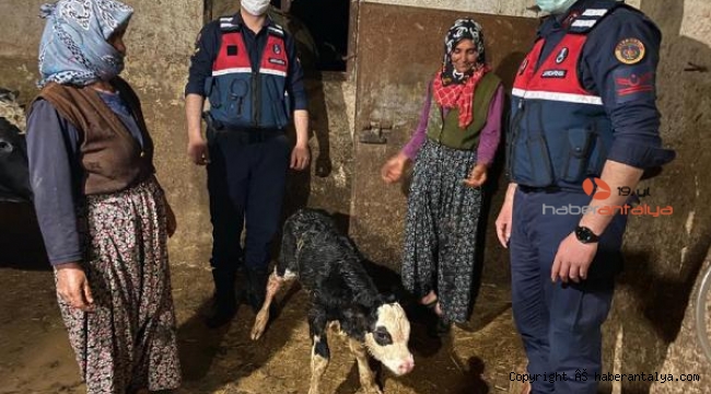 Karantinadaki köyde jandarma doğum yaptırdı