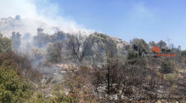 Kaş'ta makilik alan yangını !