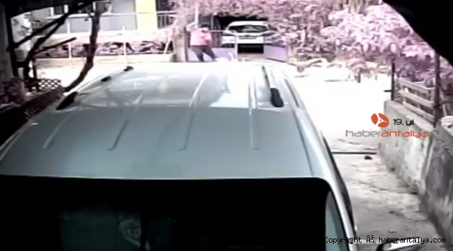 Kazlara taş attı, hayatının şokunu yaşadı !