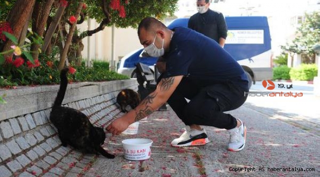 Kemer Belediyesi can dostların yanında