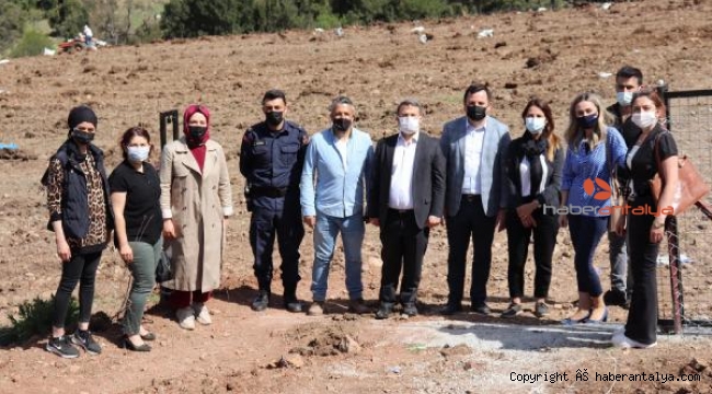 Korkuteli'de aronya yetiştirilecek