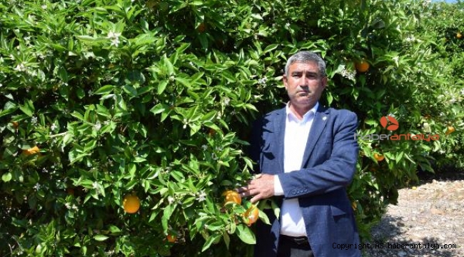 'Portakalı sigortalayın' uyarısı !