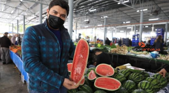 Sezonun ilk karpuzu bakın kaç liradan satılıyor ?