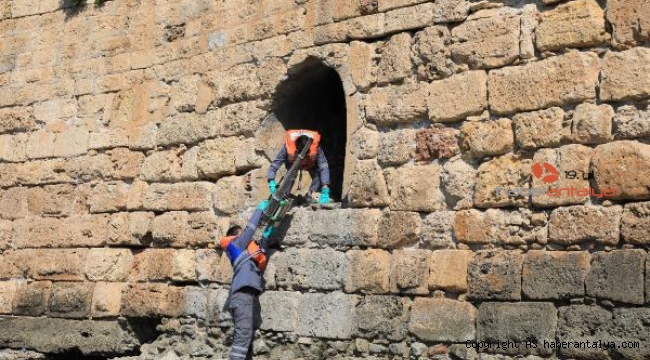 'Sivrisinekle mücadele ordusu'nun tarihe saygılı davranıyor