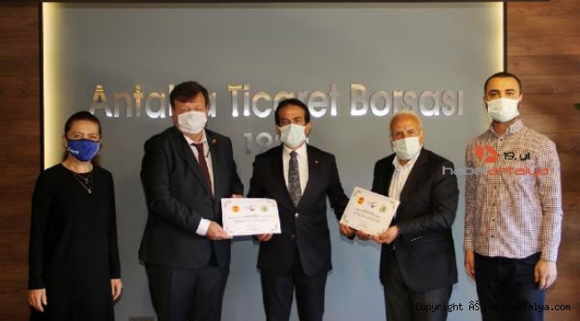 Tavşan Yüreği Zeytini coğrafi işaret logosuyla satacaklar