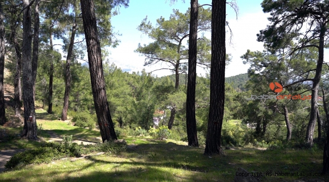 Yeşilçam Yürüyüş ve Bisiklet Yolu Projesi hazırlandı