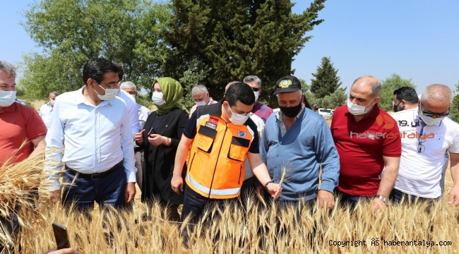 ''1 milyon 250 bin ekmeği ücretsiz olarak ulaştıracağız"
