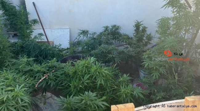Alanya'da eş zamanlı dev operasyon ! 14 gözaltı çıktı