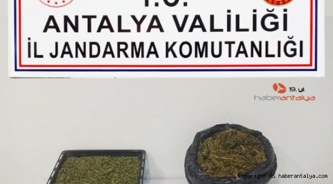 Alanya'da eve uyuşturucu baskını !