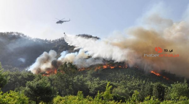 Antalya alev alev yandı ! Yüzde 95 insan kaynaklı