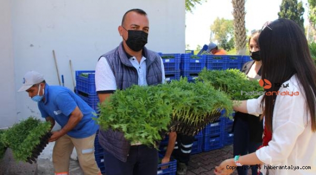 Başkan Böcek'ten muhtarlara çiçek