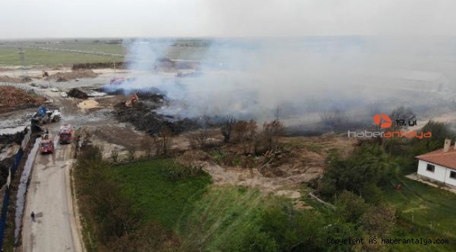 Biyokütle enerji tesisindeki yangında 30 bin ton ham madde kül oldu