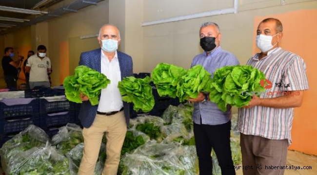 Çiftçiden alıp vatandaşa dağıtıyor