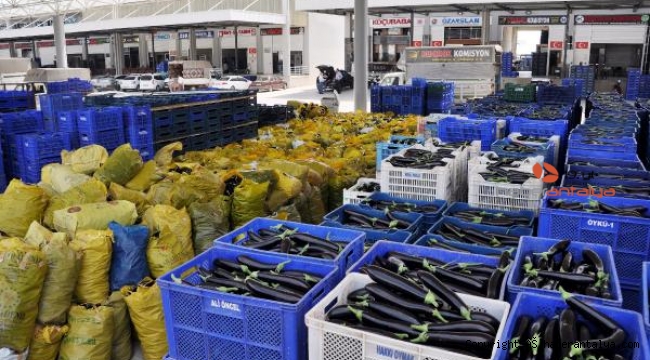Esnaf zorda. 'Semt pazarları açılsın' talebi
