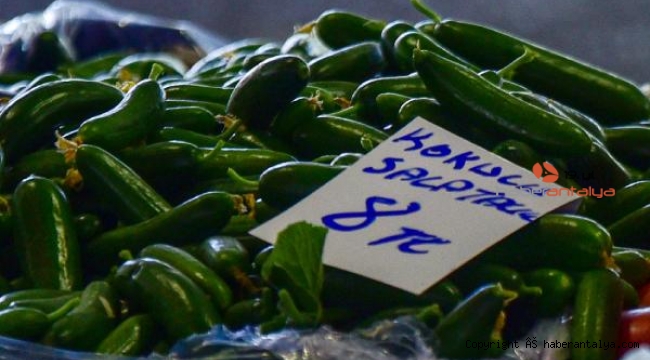 Kilosu 60 kuruşa düşen salatalık, pazarda 8 liradan alıcı buldu !