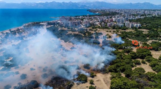 Nitelikli doğal koruma alanı Lara ormanında çıkan yangın söndürüldü 