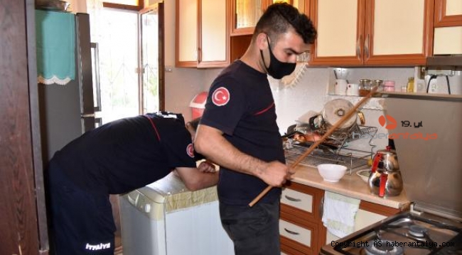 Ocağın üstünde gördüğü şey hayatının şokunu yaşattı !